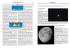 Pag. 5 - Associazione Marchigiana Astrofili