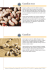 Brochure - Consorzio per il Mediterraneo