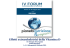 Vit. D Evidenze mediche e clinico terapeutiche
