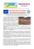 newsletter 02-2013