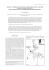 Boldrini_GR 41 - Dipartimento Scienze della Terra