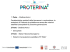 Diapositiva 1