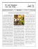 Bulletin - Paroisse de Sainte Angèle