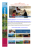 2015 Marche Turismo Newsletter Calendario delle principali