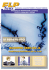 flp news n. 101