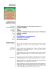 CV in formato Adobe ()