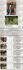 Recognized HTML document