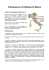 Curriculum di Raffaella Di Marzio - Spiritualità Religioni e Settarismi