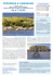 provenza e camargue