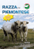 Meeting Nazionale