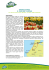 Tour PDF - FUNActive Tours