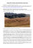 versione in PDF - click qui