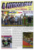 pesticciatore - maggio 2013