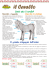 il cavallo - Terranostra Lombardia
