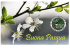 programma iniziative per l`anno 2014
