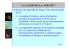 3. legionella