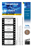 Psicopatologia Cinema