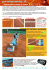 (manutenzione campo da tennis) (PDF - 2 MB)