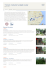 Hunan: nella terra degli Avatar