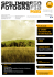 [PDF - 1.9 MB] Spilimbergo Fotografia Magazine