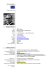 Curriculum Vitae in formato europeo