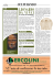 Scarica il pdf (3a parte)