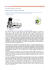 documento - sanpietroepaologerenzano.it
