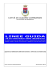 Linee guida operativa sgombero neve