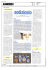cos`è accaduto flash news