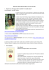 Newsletter n 7 circolo lettura defini.pages