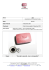 presentazione - carta d`identita`