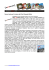 Scarica il pdf completo