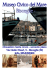 MUSEO DEL MARE BISCEGLIE.pmd