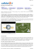 Pagina 1 di 3 16/05/2007 file://C:\DOCUME~1\RAFFAE~1