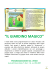marx-programmazione-verde - Istituto Comprensivo LUCIANO