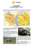 tanzania - Aleramo Viaggi