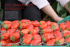 LISTE FRAGOLA 2015 - karposmagazine.net