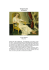 Teoria di Galois ad Interim La jupe blanche B