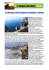 Le spiagge della Liguria