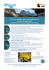 Il mare in montagna: alla scoperta delle Dolomiti dal 22 al 29 agosto