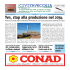 scarica il PDF cliccando qui