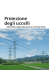 Protezione degli uccelli sulle linee elettriche aeree a corrente forte