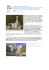 Giorgio Morandi. Retrospective