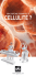 cellulite - L`Angolo del Benessere