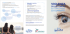 La brochure
