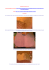 Tutorial borsetta da sera Progetto pubblicato da Emma http://woman