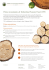 Primo investimento di Timberland Forestry Fund (TFF)
