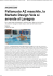 anconatoday - vela nuoto ancona
