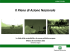 Presentazione standard di PowerPoint