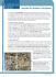 Vol1_uni2_cap6_contatti Oriente Occidente
